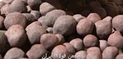 نسبت قیمت آهن اسفنجی به شمش فولادی شرکت فولاد خوزستان در بورس کالا